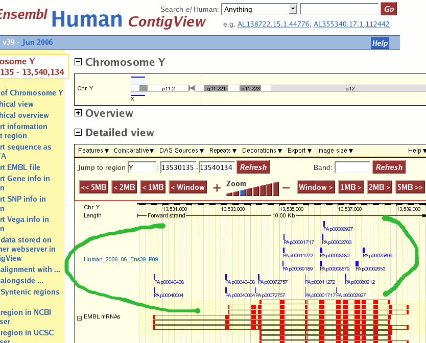 genome browser